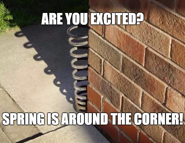 Spring-Corner.png