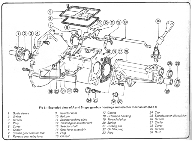 type9.gif